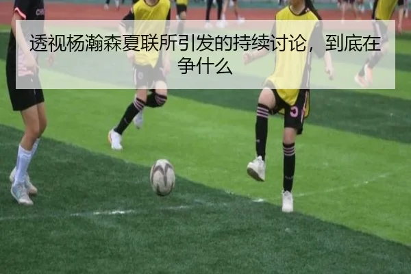 透视杨瀚森夏联所引发的持续讨论，到底在争什么